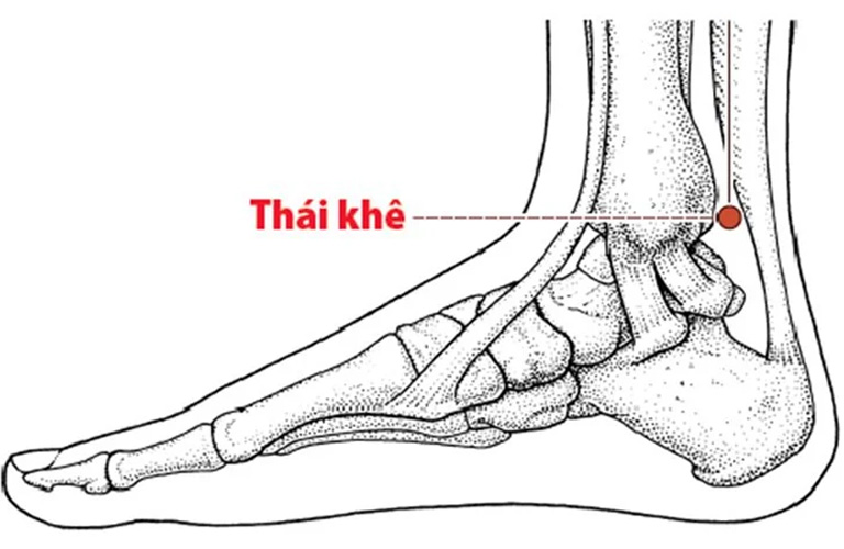 Huyệt Thái Khê nằm sau mắt cá chân trong