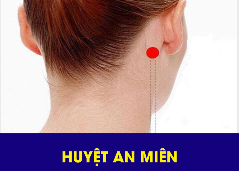 Huyệt số 1 và 2 nằm ở vị trí sau tai