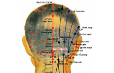 Huyệt Phong Phủ: Vị Trí, Lợi Ích Sức Khỏe, Cách Khai Thông