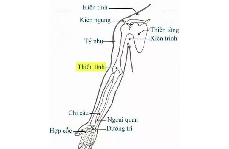 Hình ảnh minh họa huyệt đạo Thiên Tỉnh