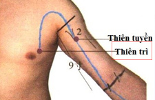 Huyệt Thiên Trì Ở Đâu? Tìm Hiểu Công Năng Và Cách Phối Huyệt