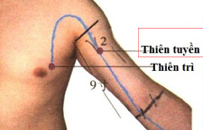 Huyệt Thiên Tuyền: Vị Trí, Tác Dụng Và Các Kỹ Thuật Khai Thông