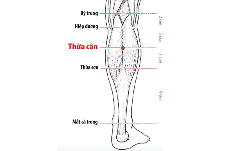 Hình ảnh minh họa huyệt đạo Thừa Cân