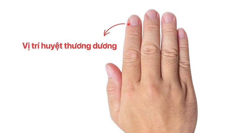 Vị trí của huyệt đạo này trên cơ thể con người