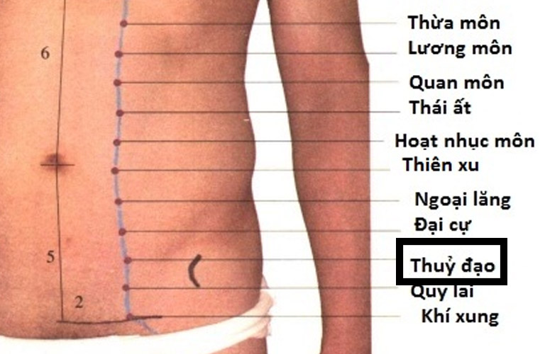 Hình ảnh minh họa huyệt đạo