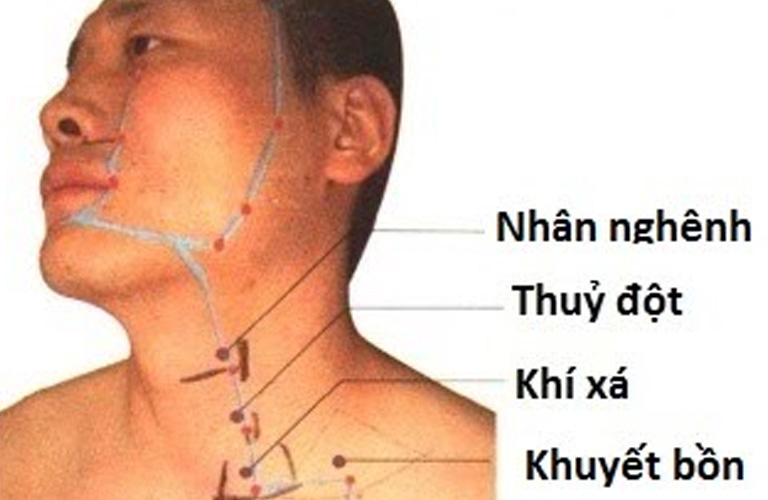 Hình ảnh minh họa huyệt đạo Thủy Đột