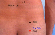 Huyệt Trật Biên: Tìm Hiểu Vị Trí Và Tác Dụng Đối Với Sức Khỏe 