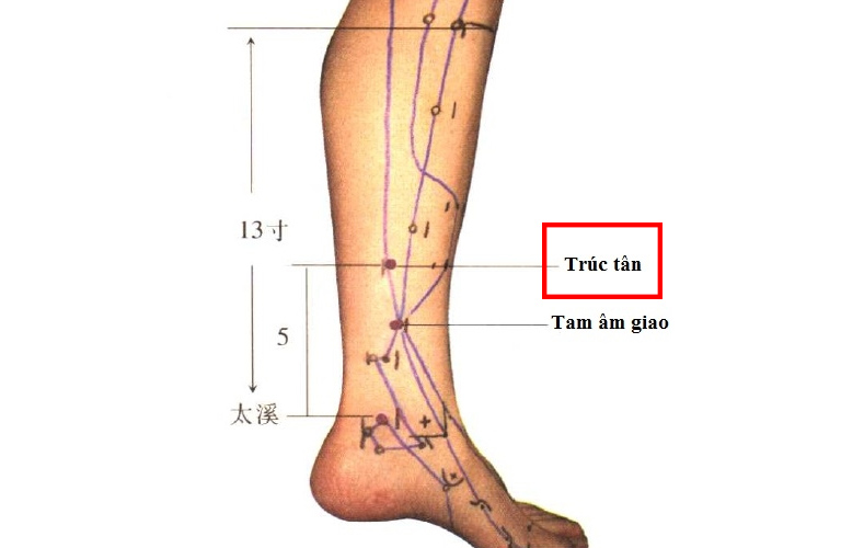 Huyệt đạo Trúc Tân nằm ở chân