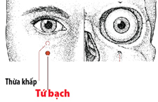 Huyệt Tứ Bạch Ở Đâu? Cách Day Bấm Trị Cận Thị Và Bệnh Mắt