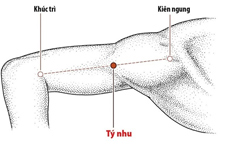 Huyệt Tý Nhu: Vị Trí, Công Dụng Và Kỹ Thuật Khai Thông Huyệt