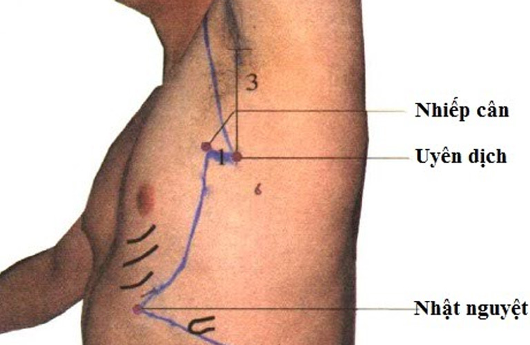 Huyệt đạo nằm dưới nách