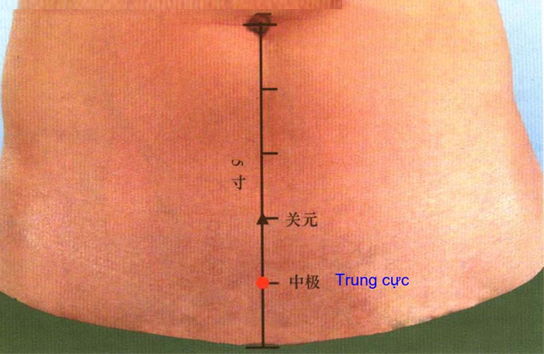 Huyệt Trung Cực cách rốn khoảng 4 thốn