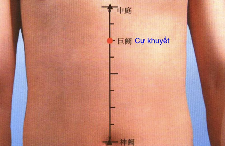 Huyệt Cự Khuyết hỗ trợ điều trị các vấn đề về dạ dày