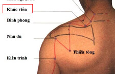 Huyệt Khúc Viên: Khám Phá Vị Trí Và Tác Dụng Trị Đau Khớp Vai