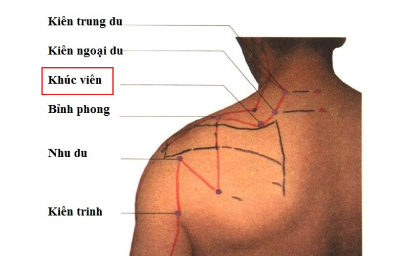 Hình ảnh minh họa huyệt Khúc Viên