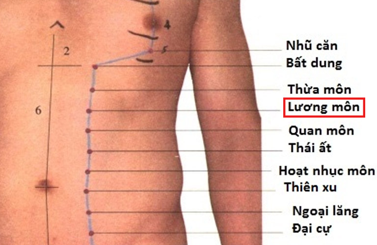 Hình ảnh minh họa huyệt đạo Lương Môn