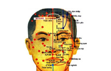 Huyệt Mi Xung: Xác Định Vị Trí Và Cách Tác Động Huyệt Trị Bệnh