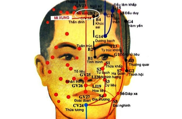 Hình ảnh minh họa huyệt Mi Xung