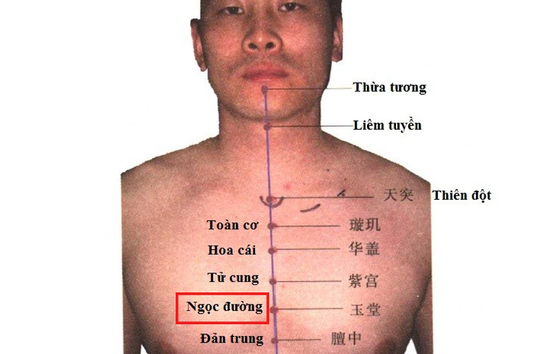 Hình ảnh minh họa huyệt Ngọc Đường