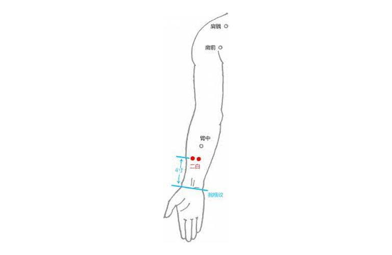 Huyệt đạo có vị trí trên cẳng tay