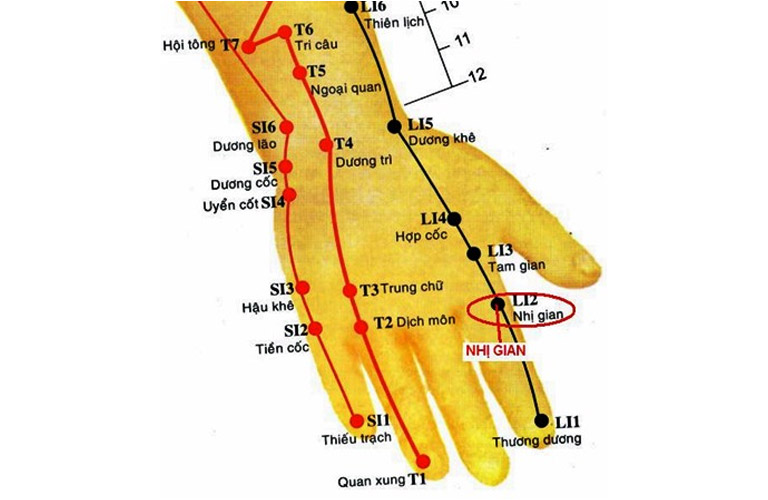 Hình ảnh minh họa huyệt đạo Nhị Gian