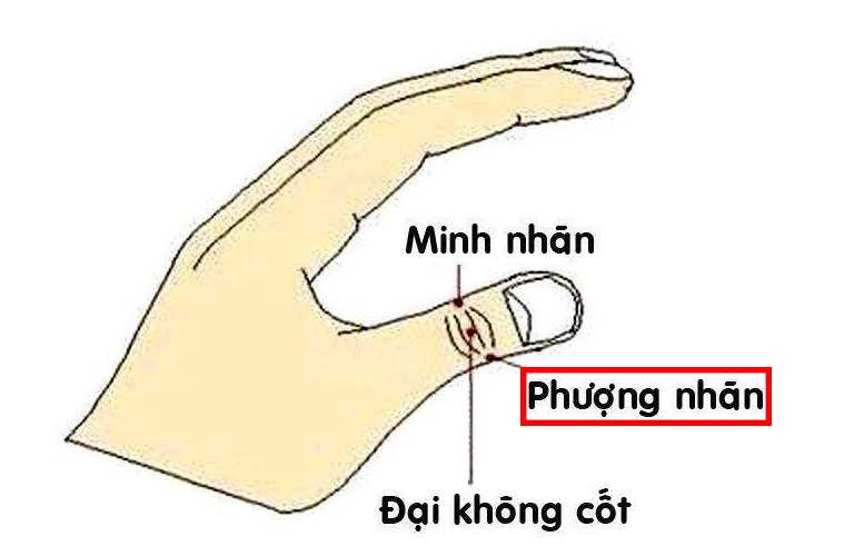 Huyệt nằm ở đầu mút ngoài của lằn chỉ giữa ngón tay cái