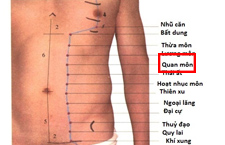 Huyệt Quan Môn: Vị Trí, Tác Dụng và Cách Châm Cứu Hiệu Quả