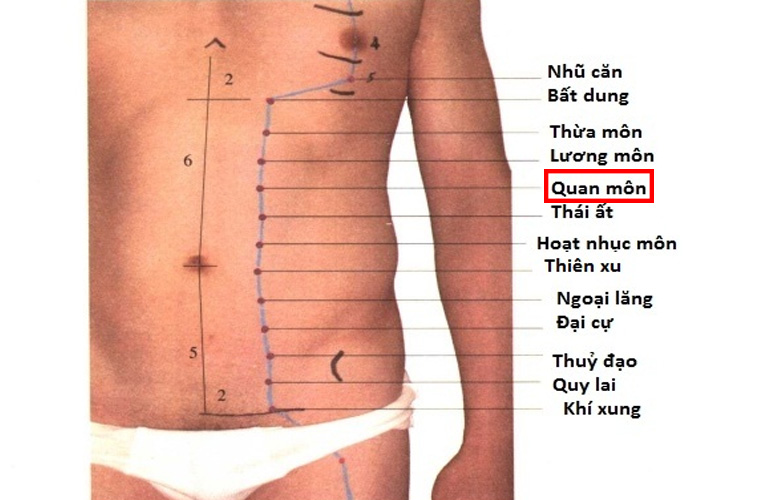 Hình ảnh huyệt Quan Môn trên bụng