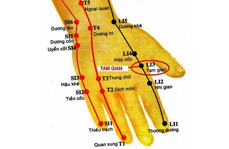 Hình ảnh huyệt Tam Gian trên tay