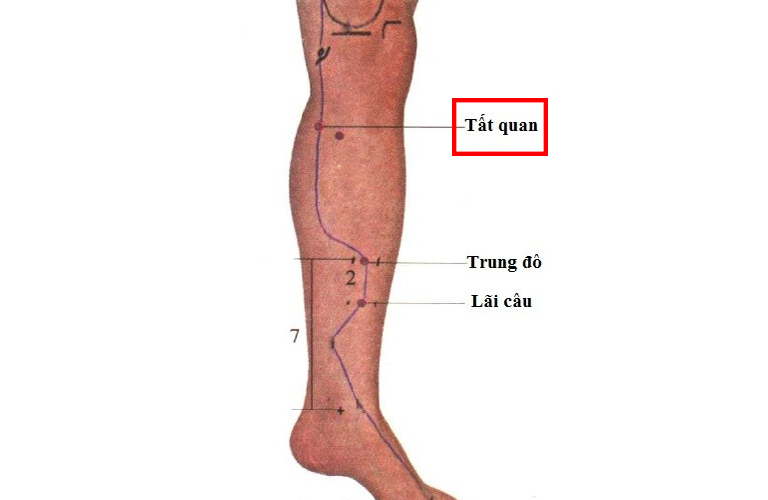 Hình ảnh minh họa huyệt đạo Tất Quan