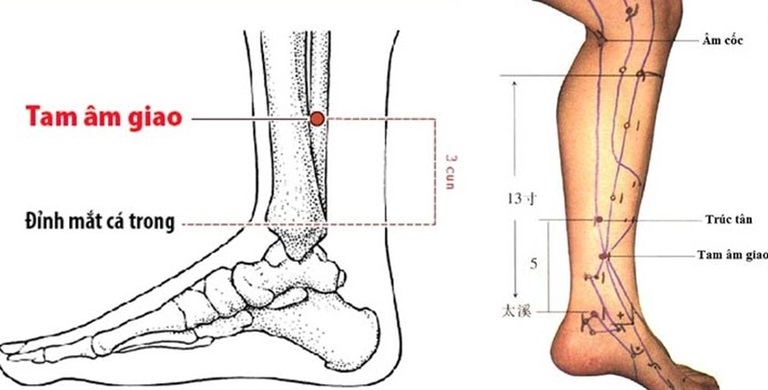 Vị trí của huyệt Tam Âm Giao