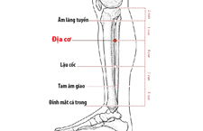 Huyệt Địa Cơ: Vị Trí Và Hướng Dẫn Tác Động Chữa Tiểu Đường
