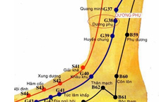 Huyệt Dương Phụ: Vị Trí Và Cách Tác Động Trị Đau Xương Khớp