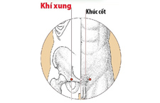 Huyệt Khí Xung: Vị Trí, Tác Dụng Và Cách Khai Thông Trị Bệnh