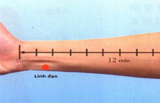 Huyệt Linh Đạo: Vị Trí, Công Năng Và Cách Tác Động Trị Bệnh