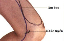 Huyệt Âm Bao: Vị Trí, Đặc Tính Và Công Dụng Chữa Trị Bệnh