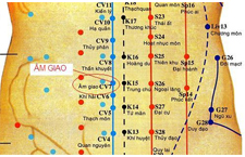 Huyệt Âm Giao Ở Đâu? Tác Dụng Và Cách Bấm Huyệt, Châm Cứu