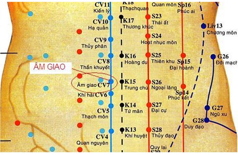 Hình ảnh minh họa huyệt Âm Giao