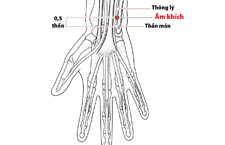 Huyệt Âm Khích: Tìm Hiểu Tác Dụng, Cách Khai Thông Trị Bệnh