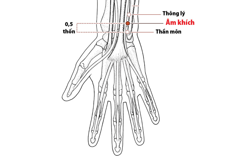 Hình ảnh minh họa huyệt đạo Âm Khích