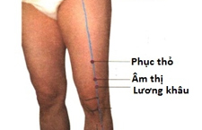 Huyệt Âm Thị: Vị Trí, Tác Dụng, Cách Khai Thông Chuẩn Y Học