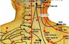 Huyệt Bách Lao: Vị Trí, Tác Dụng, Cách Châm Cứu Trị Lao Phổi