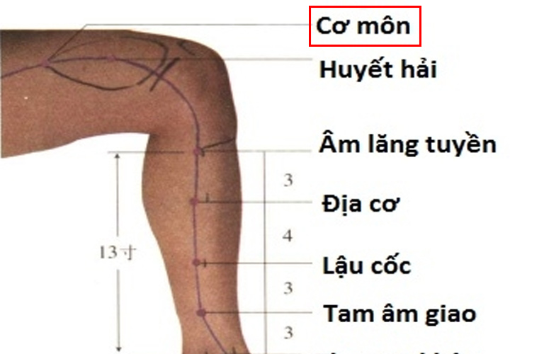 Hình ảnh minh họa huyệt đạo