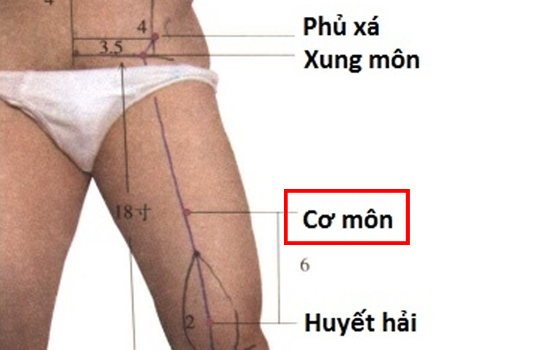 Huyệt Cơ Môn là huyệt thứ 11 thuộc kinh Tỳ