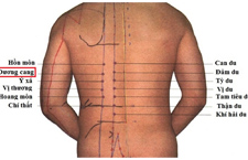 Huyệt Dương Cương: Xác Định Vị Trí Và Tác Dụng Trị Bệnh