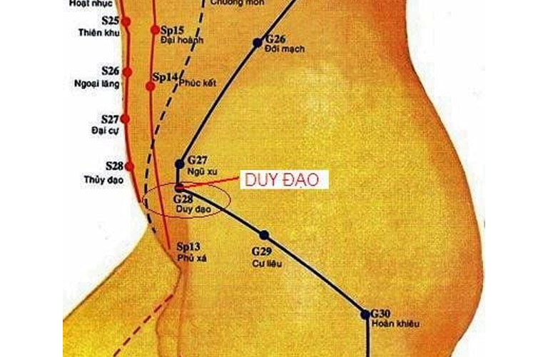 Hình ảnh minh họa huyệt Duy Đạo